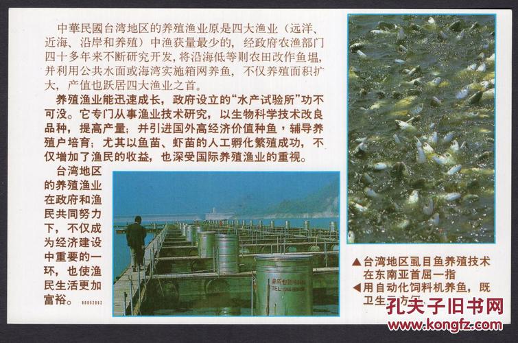 sxa-st03-05〕台湾空飘宣传品/台湾地区的养殖渔业,19.5x12.2厘米.
