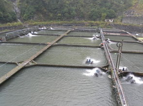 水产养殖自动增氧投饲物联网监控系统图片 高清大图 谷瀑环保