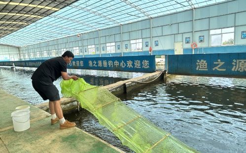 灵武市 大力发展水产养殖 助力渔业高质量发展
