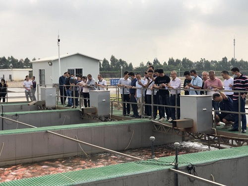 广东省 广州市水产养殖机械化技术推广培训班在南沙区举办