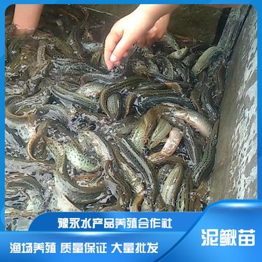 永城市豫永水产品养殖专业合作社